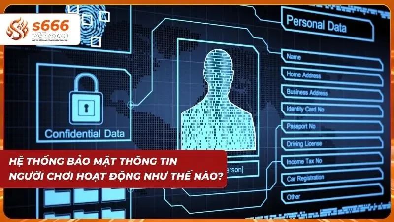Câu Hỏi Thường Gặp Về S666 - Giải Đáp Chi Tiết Từ A-Z 5 Hệ thống bảo mật cực kỳ uy tín đến từ nền tảng