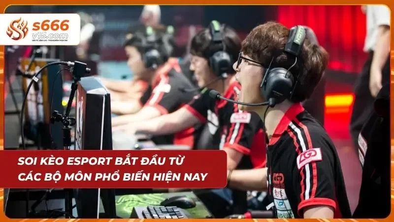 Hệ thống giải đấu phong phú mang lại cơ hội đầu tư lớn cho dân bet